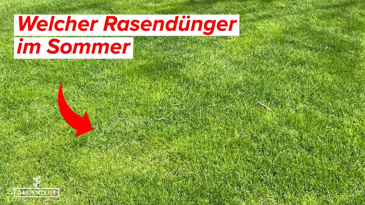 Video: Welcher Rasendünger im Sommer ? Wann solltest du im Sommer deinen Rasen düngen?