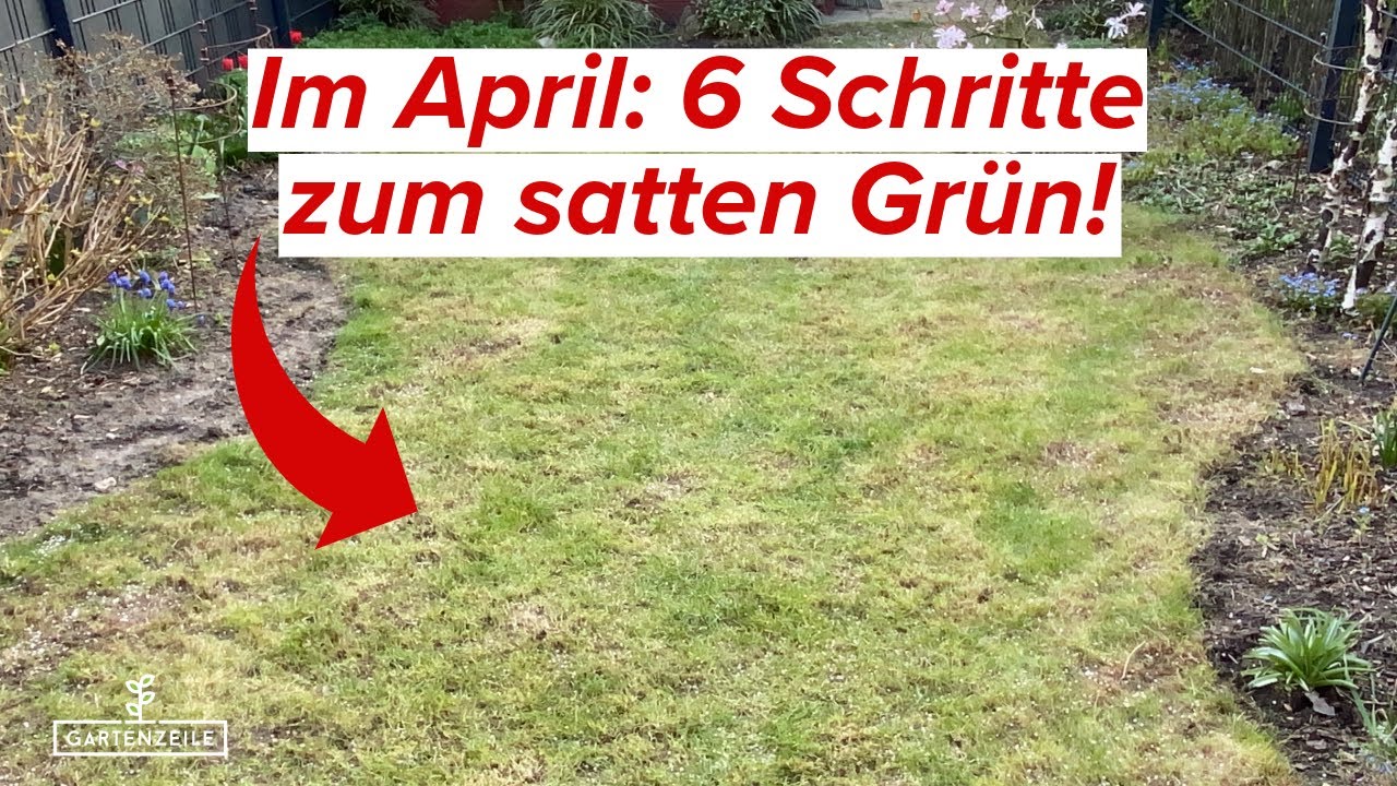 Video: Rasenpflege im April - In 6 Schritten zum satten Grün!
