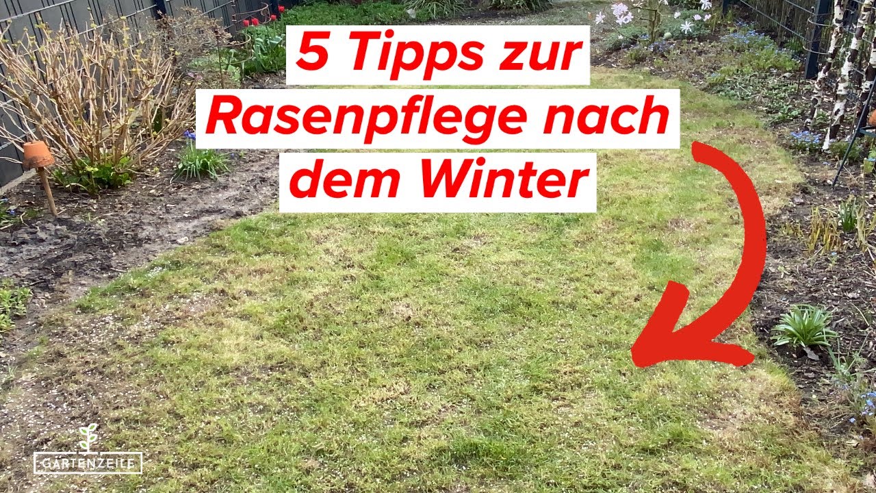 Video: 5 Tipps für die Rasenpflege nach dem Winter! Das solltest du unbedingt beachten!