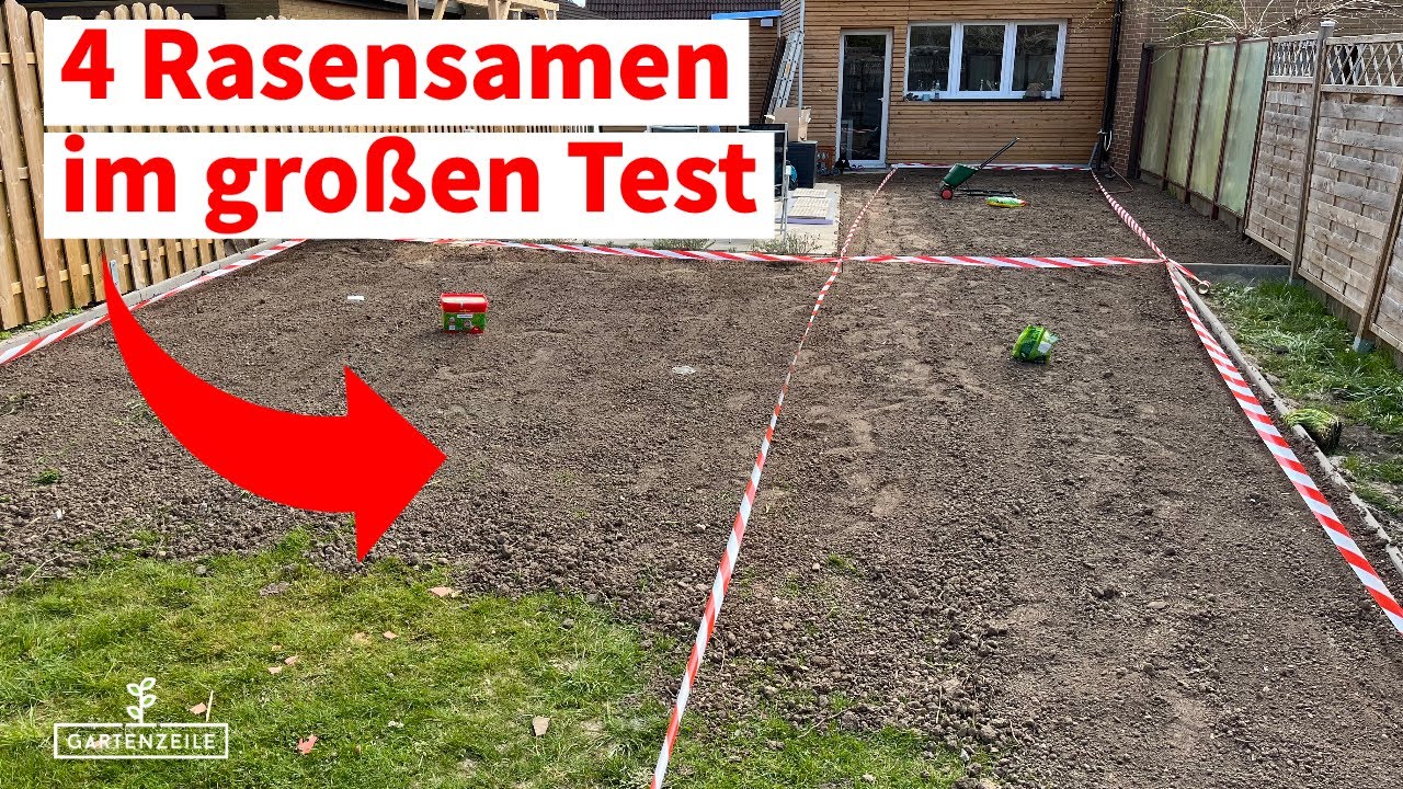 Video: Der große Rasensamen Test! 4 im direkten Vergleich! Unsere Empfehlung!