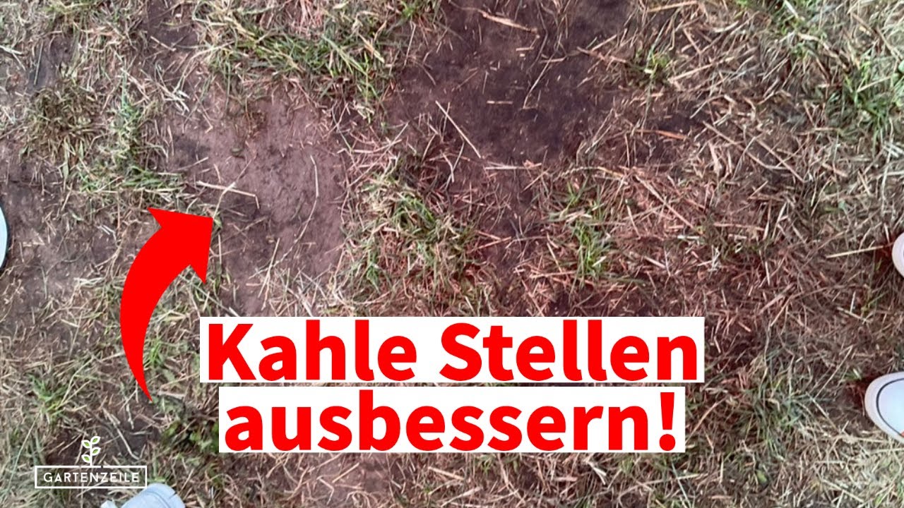 Video: Kahle Stellen im Rasen ausbessern - Das sind die besten Tipps für deine Rasenreparatur- & pflege!