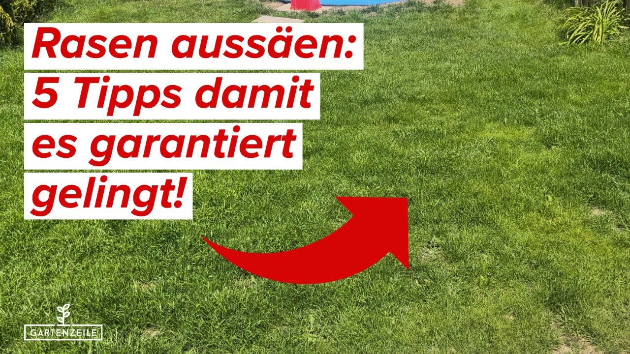 Video: Rasen aussäen wie ein Profi - 5 unschlagbare Tipps und Tricks