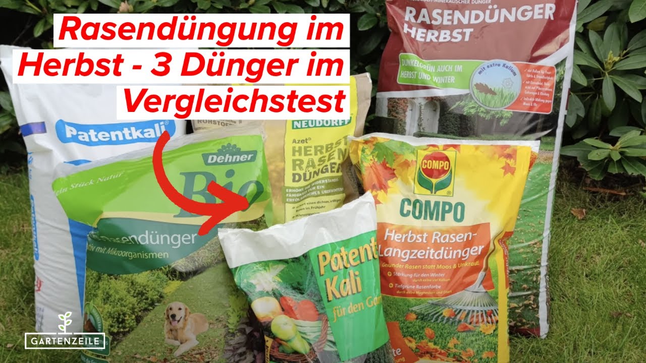 Video: 6 Herbstrasendünger im Test! Rasendüngung im Herbst - Der Vergleichstest für deinen perfekten Rasen!