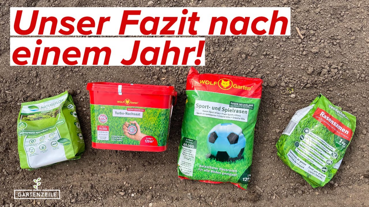 Video: Rasensamen Test: Unser Fazit nach einem Jahr - Welcher Rasensamen hat überzeugt?
