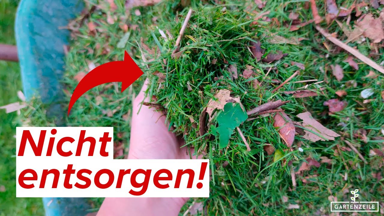 Video: Frisch gemähtes Gras nicht wegwerfen - Rasenschnitt als Dünger nutzen!