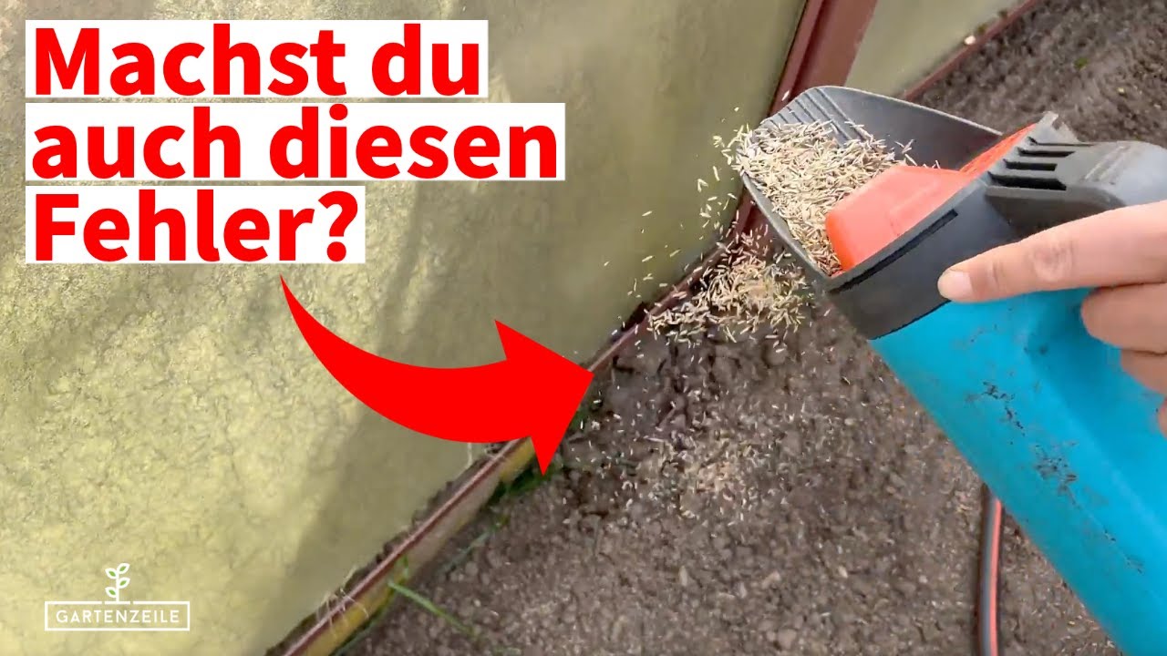Video: 8 Gründe warum Rasensamen nicht keimen