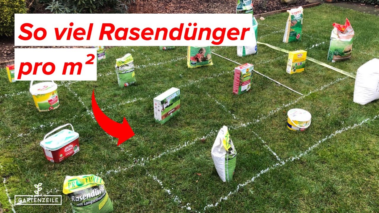 Video: Wie viel Rasendünger wird pro m² benötigt?