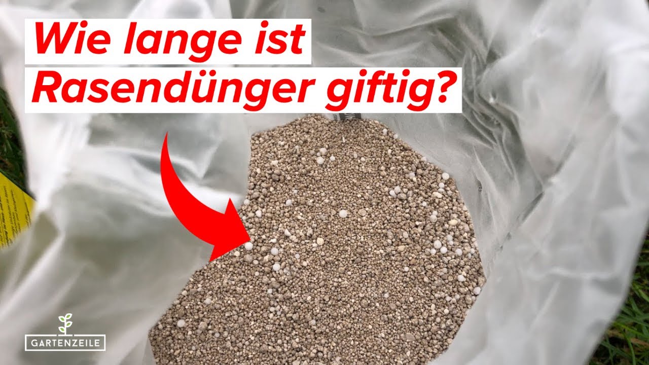 Video: Wie lange ist Rasendünger giftig?