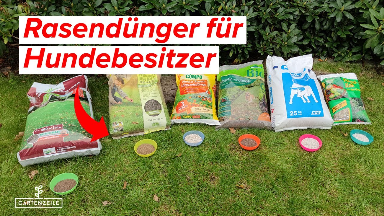Video: Rasendünger für Hundebesitzer - Darauf solltest du unbedingt achten!