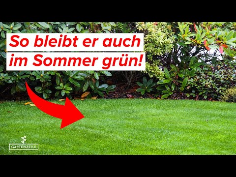 Video: 7 Tipps für den perfekten Rasen! So bleibt er auch im Sommer grün.