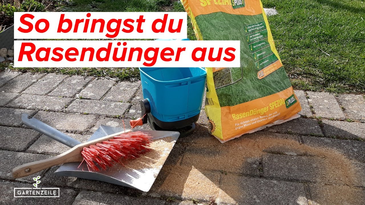 Video: Der richtige Schwung! So bringst du Rasendünger aus!