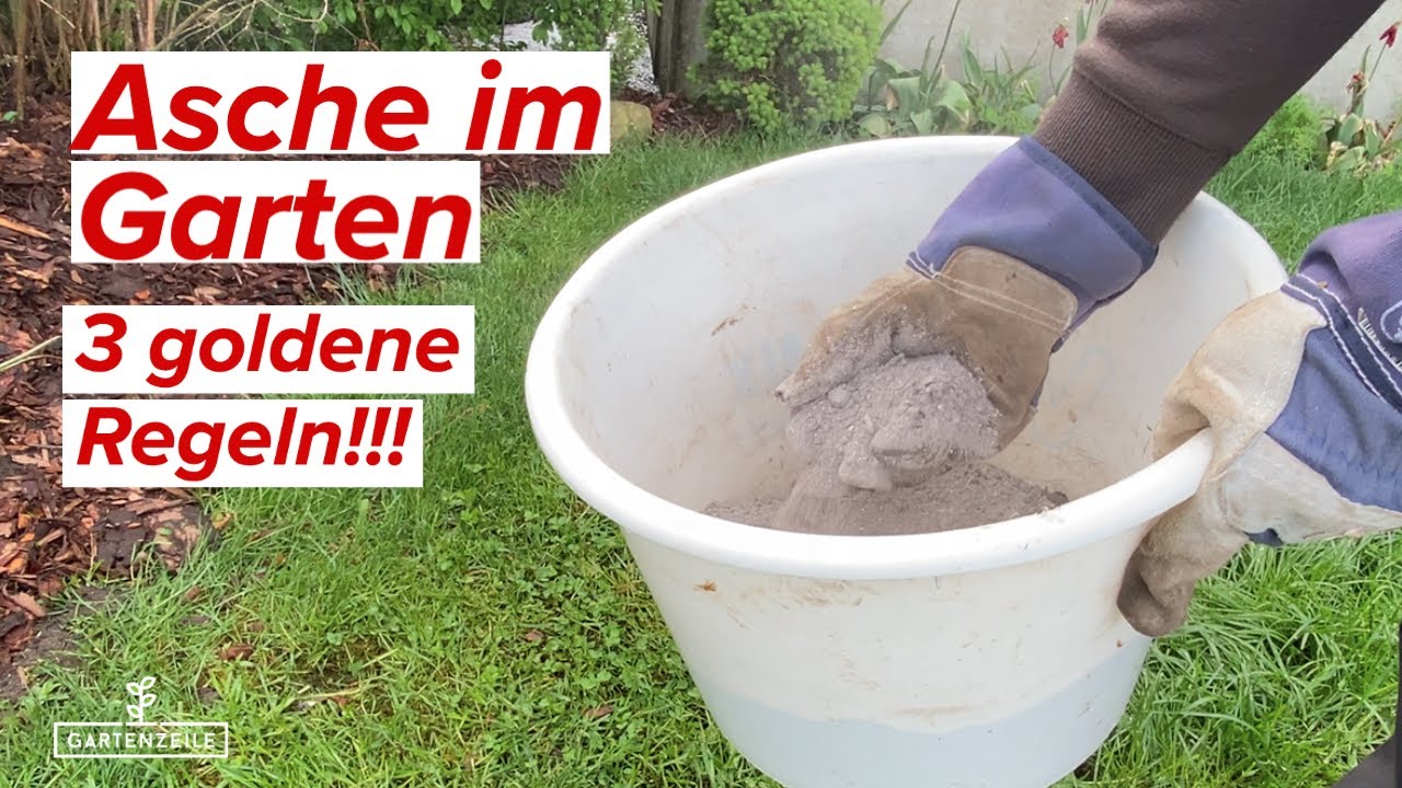 Video: Asche als Dünger im Garten! ACHTUNG: Unbedingt diese Regeln beachten, sonst VERGIFTUNG möglich!