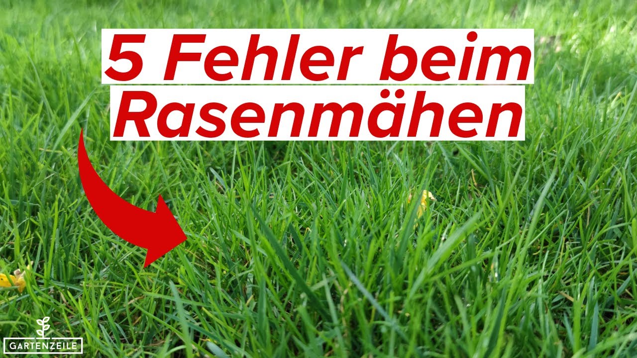 Video: Geheimnisse für einen satten Rasen - 5 Fehler die du ab heute unbedingt vermeiden musst