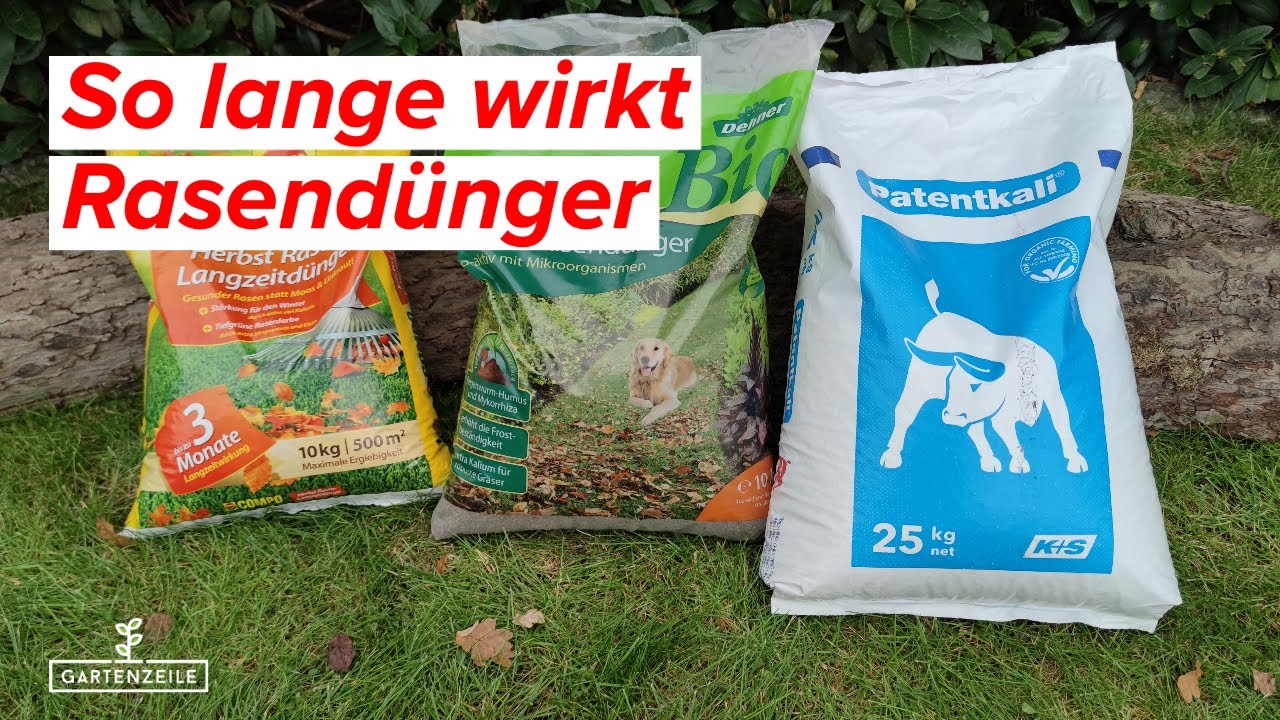 Video: So lange wirkt Rasendünger! (wenn du es richtig machst)
