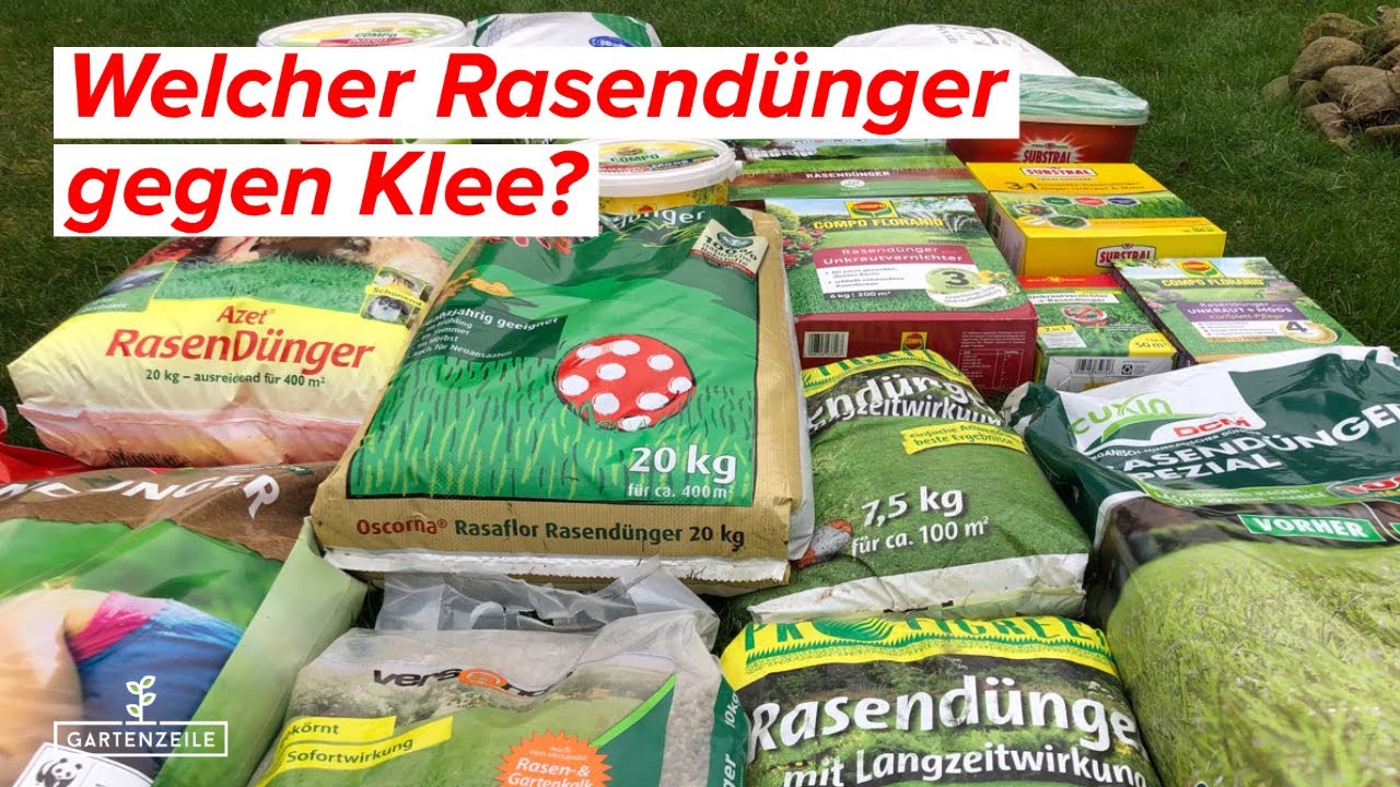 Video: Welcher Rasendünger gegen Klee?