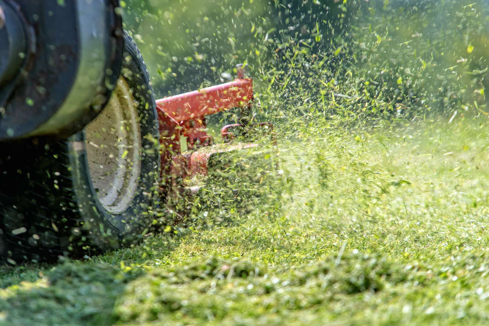Rasenmäher beim Mulchen: Der Schnitt bleibt auf der Fläche liegen