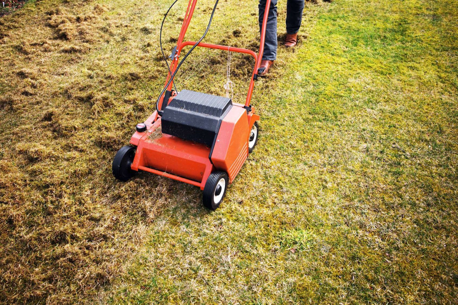 Rasen im Frühjahr vertikutieren
