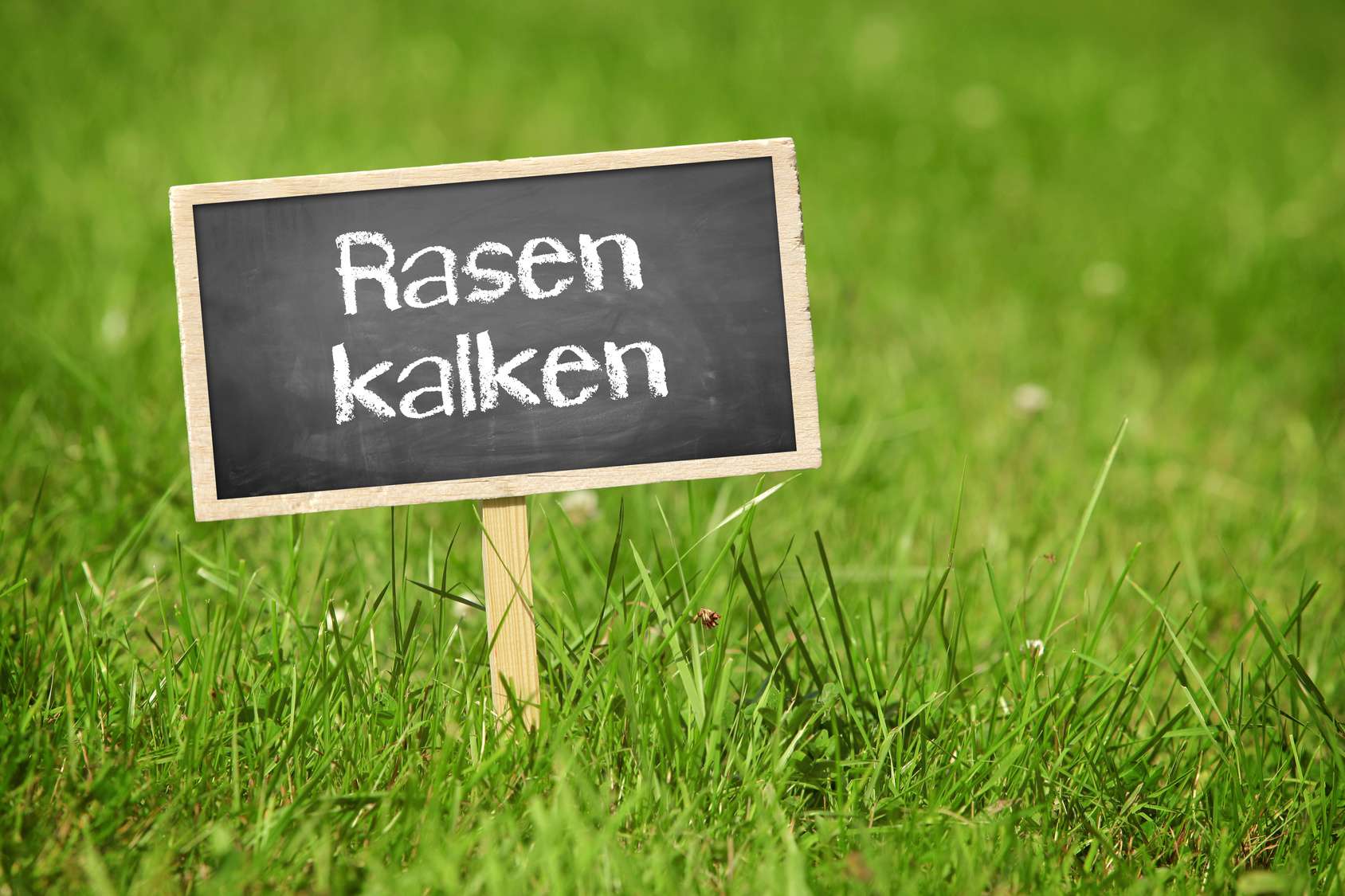 Rasenkalk wird auf der Rasenfläche ausgebracht